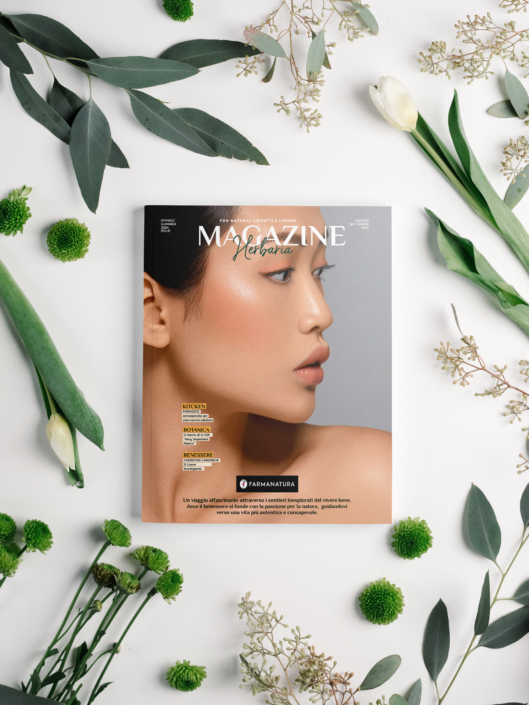 HMag1-MockUp